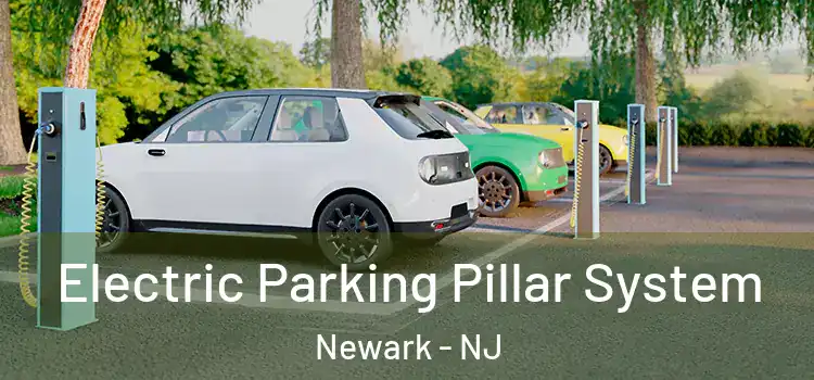  Electric Parking Pillar System Newark - NJ